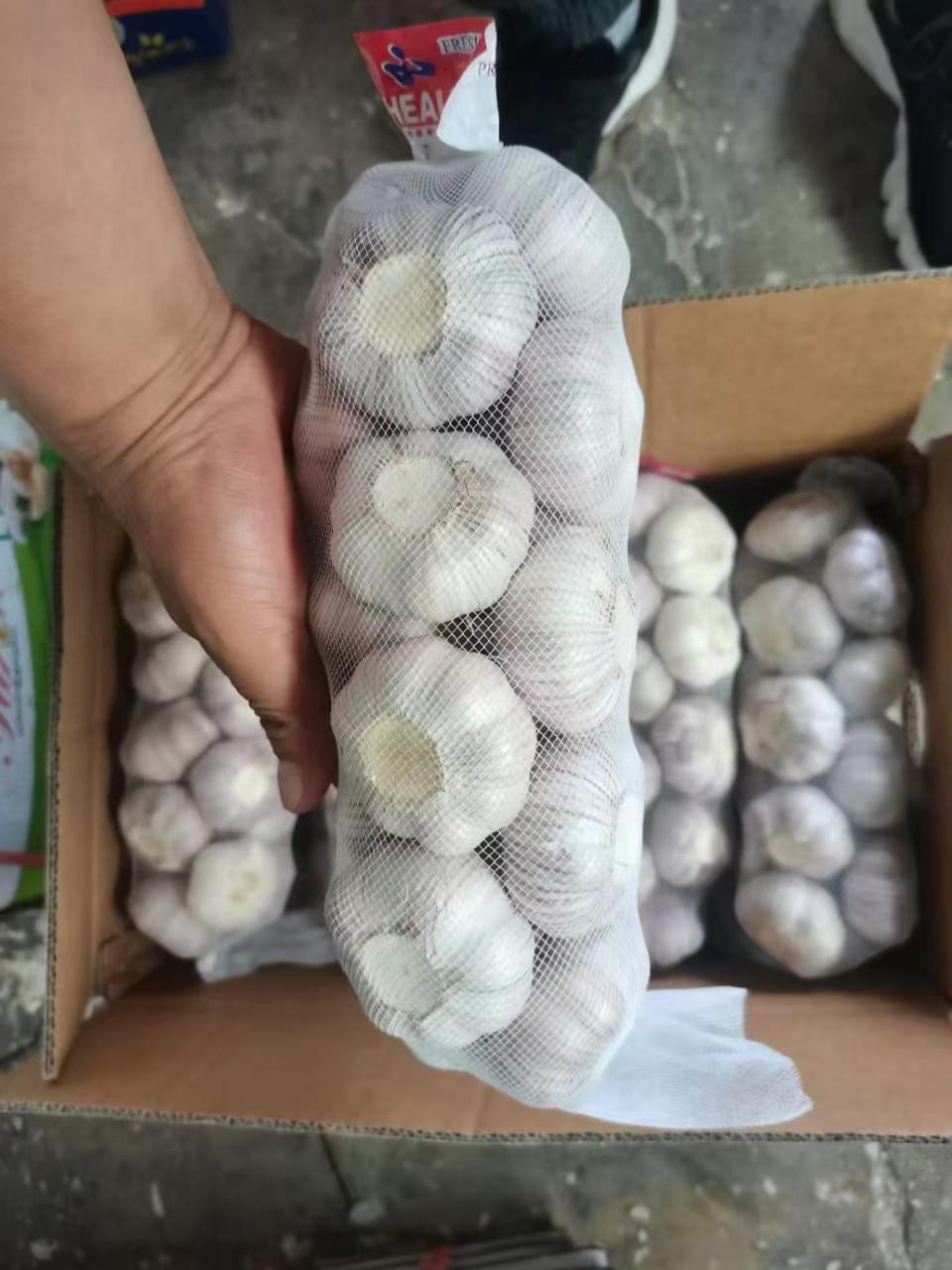 Bawang Putih Putih Normal 1kg*10/ Kemasan Karton